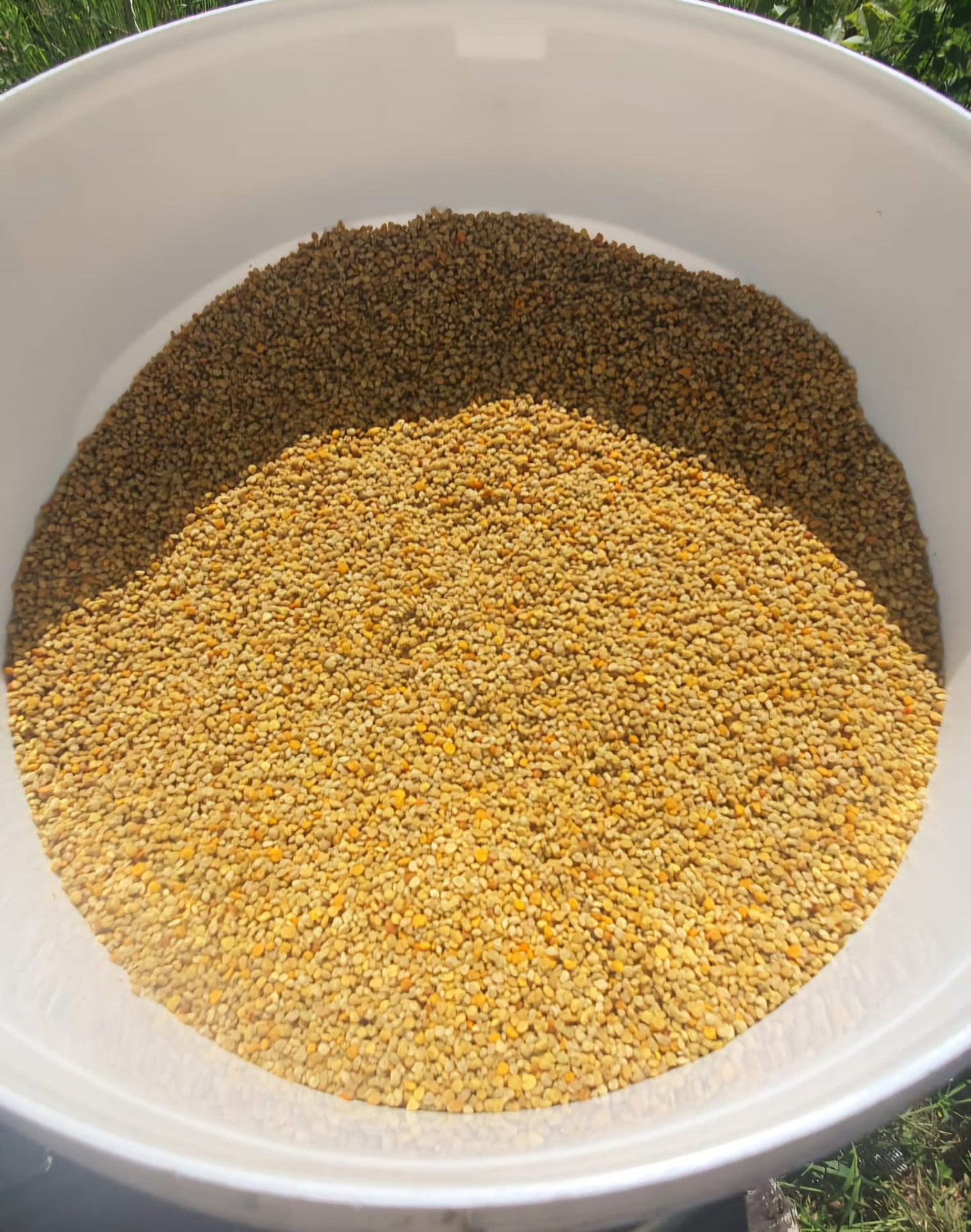 Getrockneter Blütenpollen von Jahr 2025. 100g