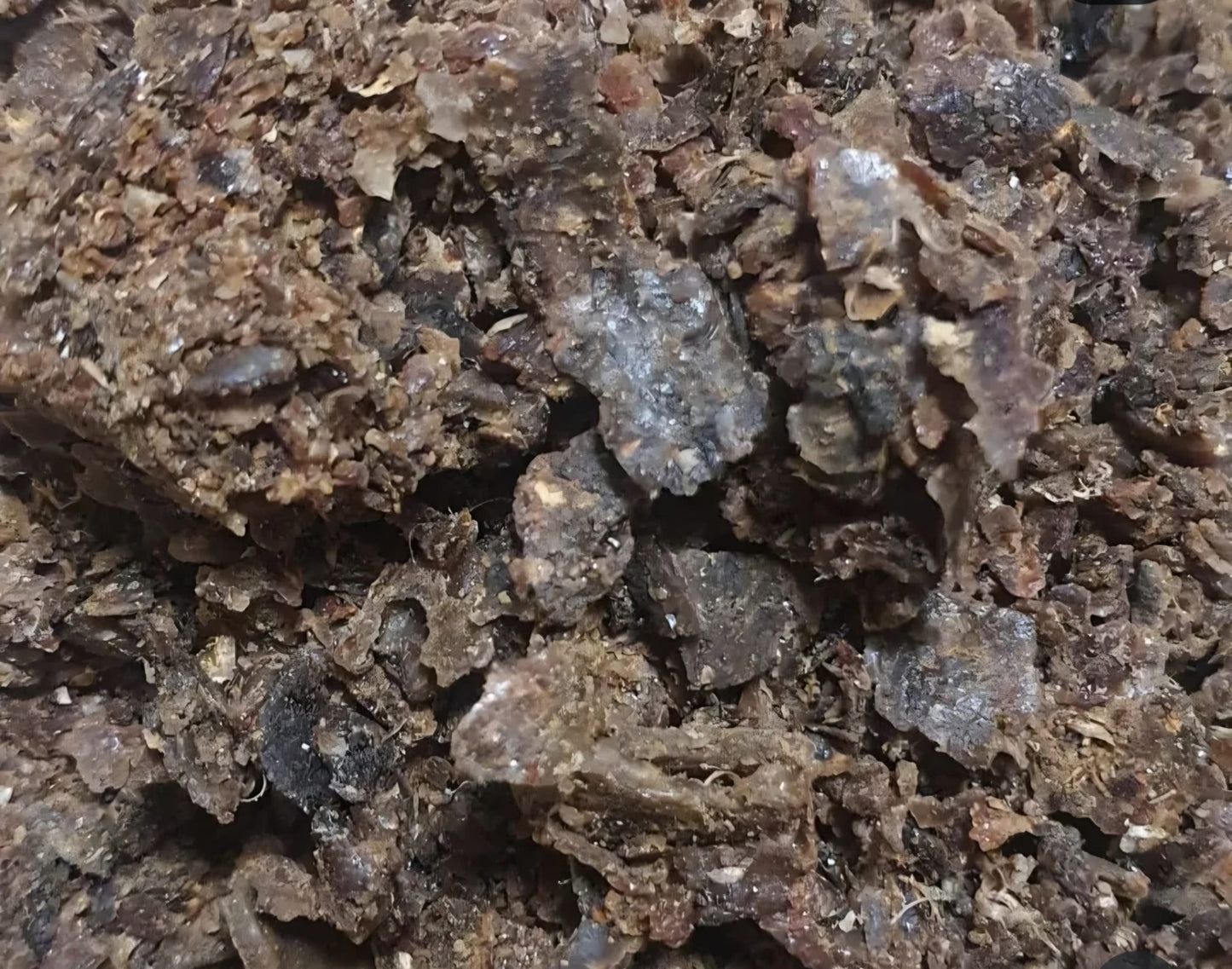 Rohpropolis 100g