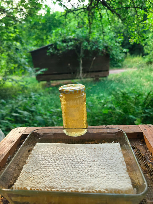 1 kg Frische Wabenhonig von Akazien
