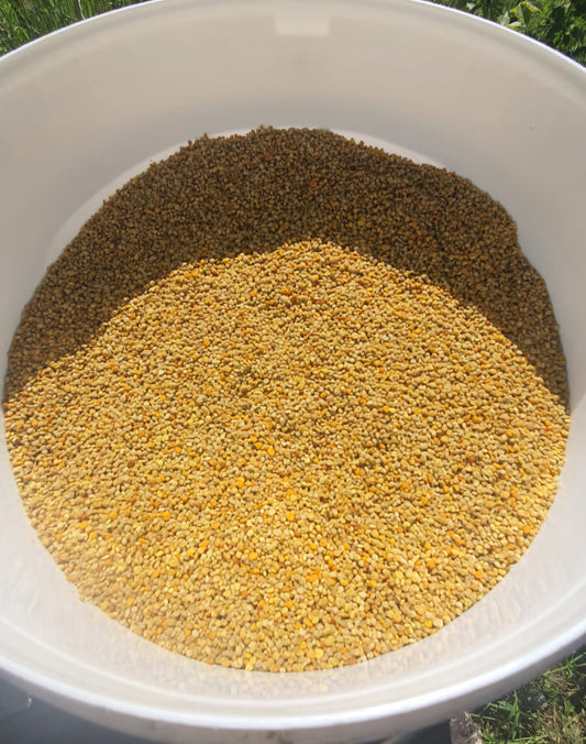 Getrockneter Blütenpollen von Jahr 2025. 100g