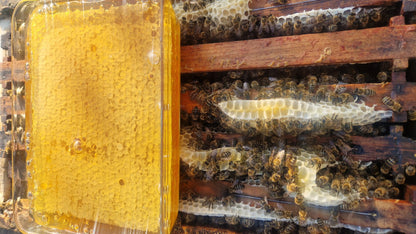 1 kg frische Wabenhonig von Blütenhonig 2026